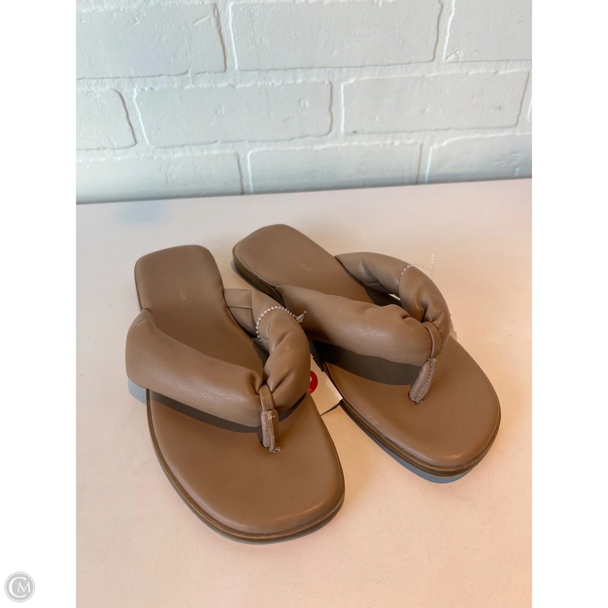 Sandals Flip Flops By American Eagle In Tan, Size: 8