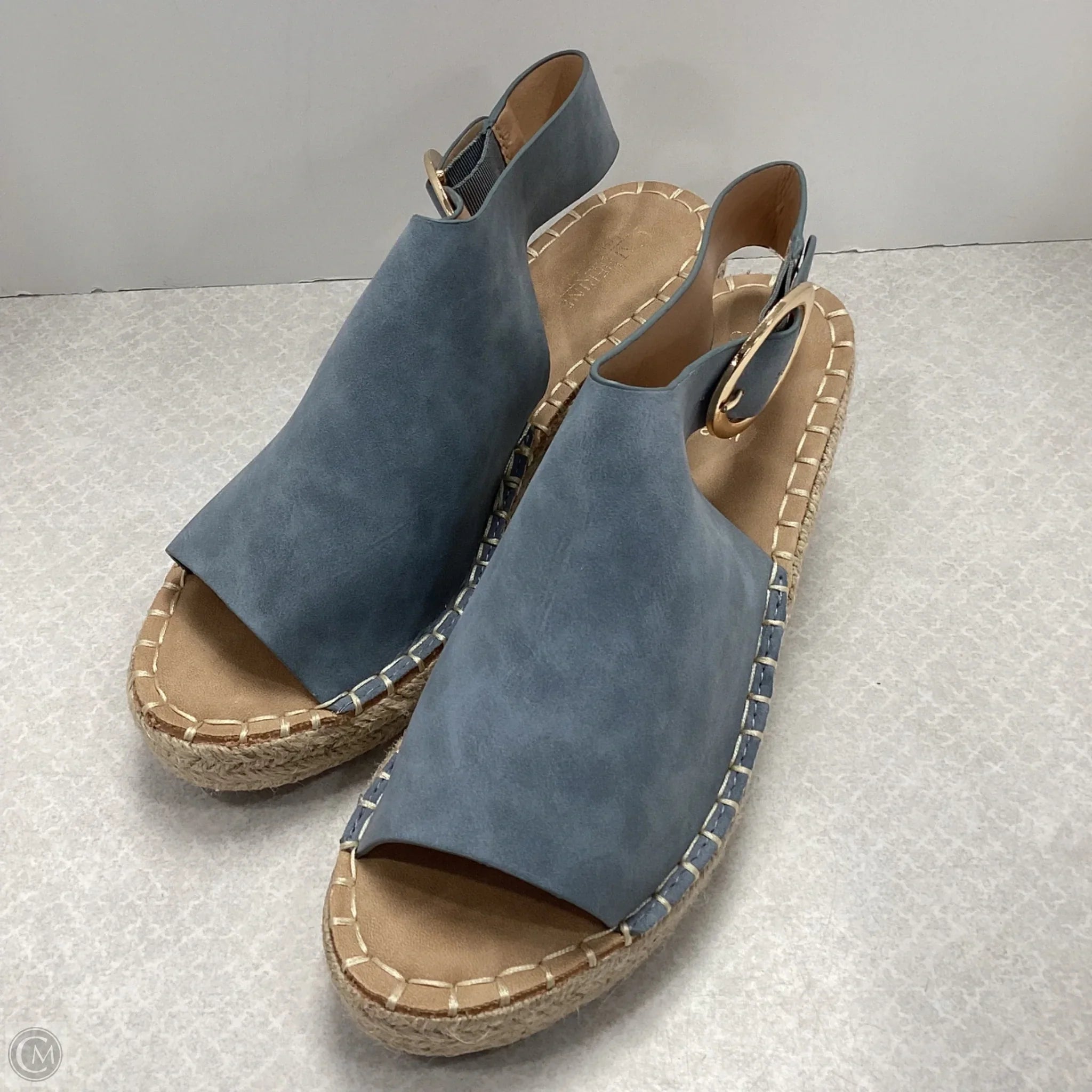 Sandals Heels Wedge By Catherine Malandrino In Blue, Size: 8
